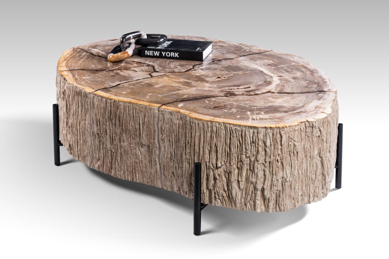 Garung petrified wood coffeetable low
