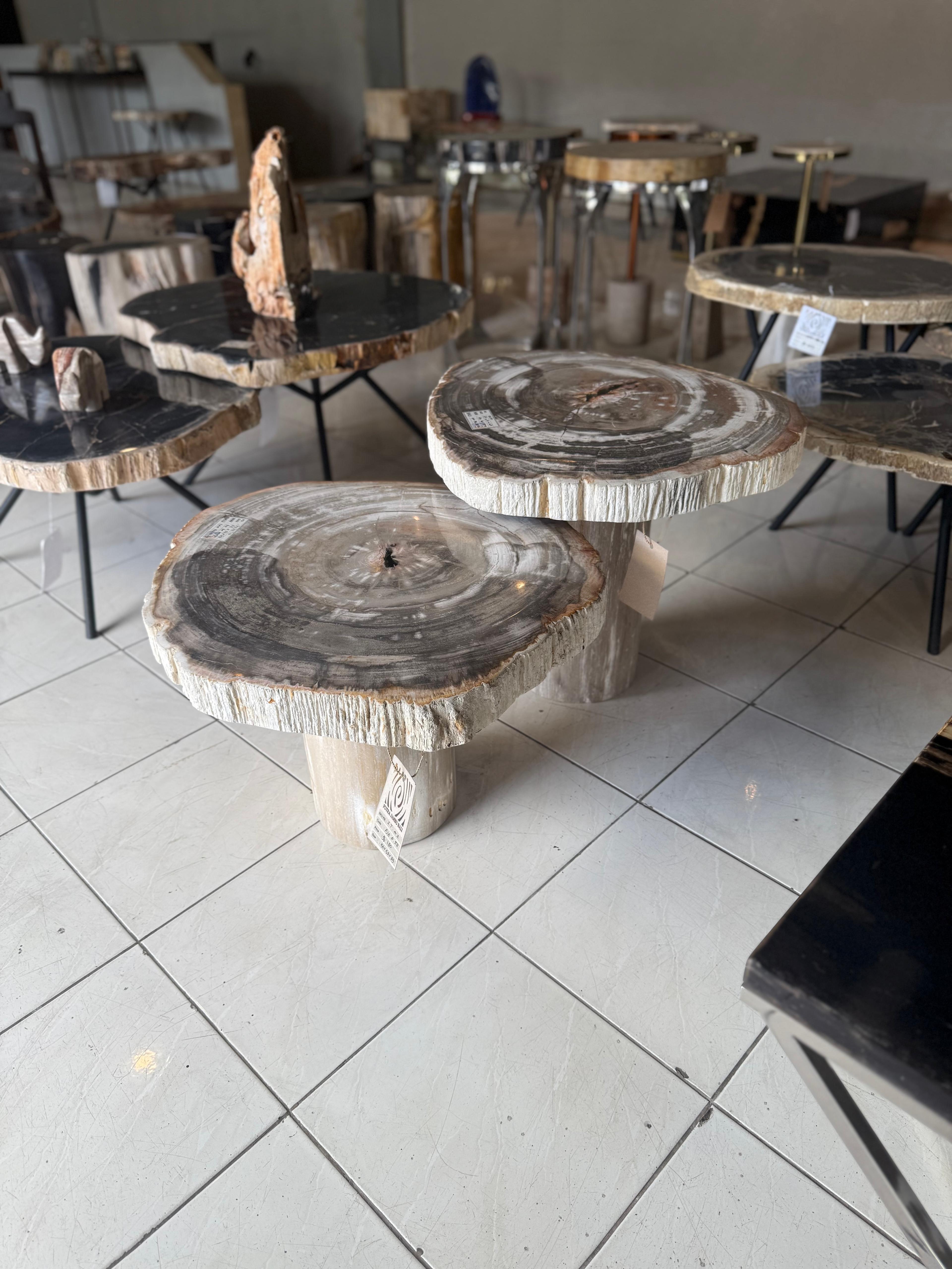 Dusun petrified wood coffeetable low